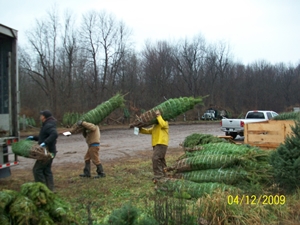 Trees for Troops