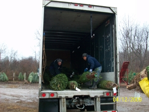 Trees for Troops