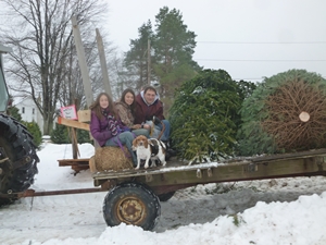 Pre-cut Trees